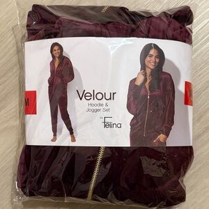 Felina Velour Hoodie & Jogger Set in Deep Purple